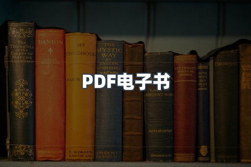 PDF电子书